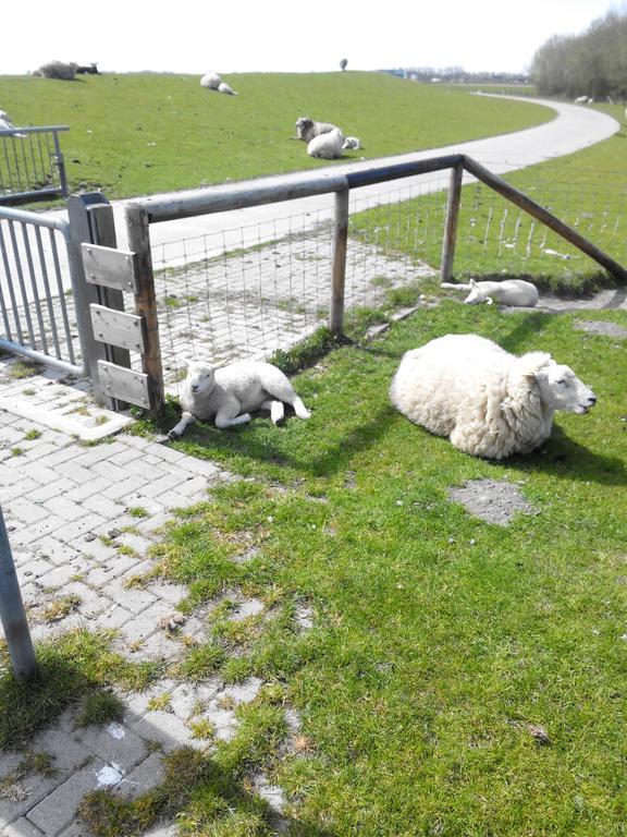 Auf Dem Alten Deich Sande Esterno foto