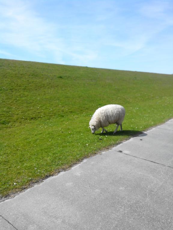 Auf Dem Alten Deich Sande Esterno foto